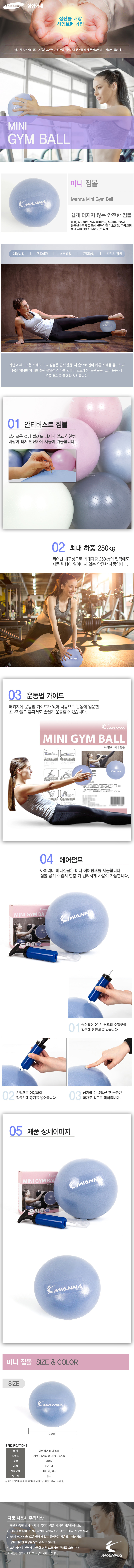 i_mini_gymball.jpg